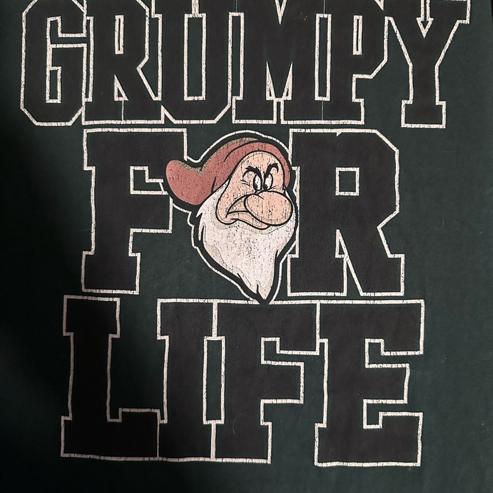 Men’s 3xl Grumpy For Life Shirt